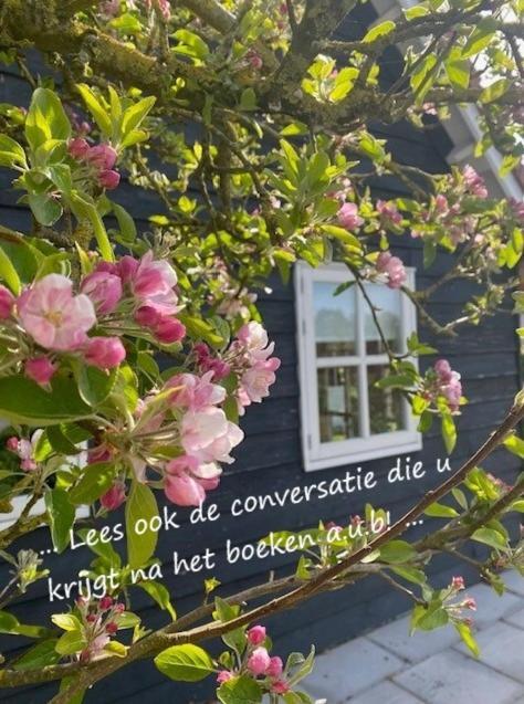 'T Schouws Uusje Villa Burgh-Haamstede Kültér fotó